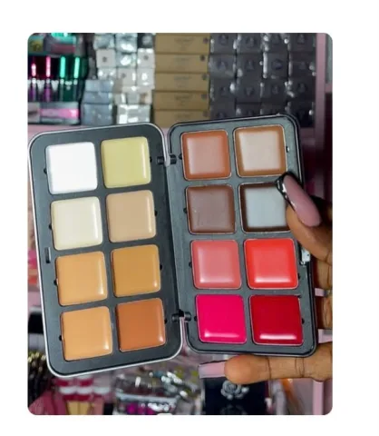 CONCEALER, BLUSH. LIP PALETTE